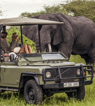 maasai mara baloon ride