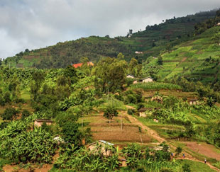 rolling hills in rwanda