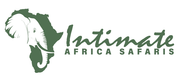 Intimate Africa Safaris Logo